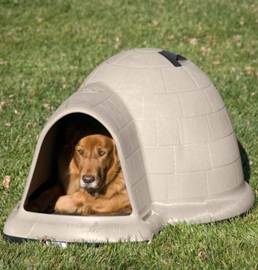 Best Insulated Dog House for Your Furry Friend - Winter Plans & Reviews..