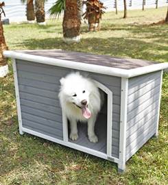 Best Insulated Dog House for Your Furry Friend - Winter Plans & Reviews..