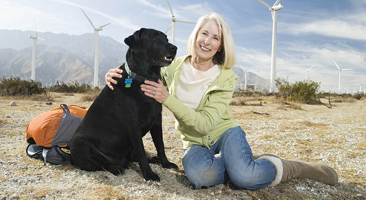Train Your Labrador to Sit