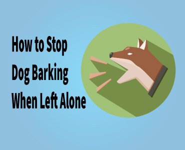 How to Stop Dog Barking When Left Alone